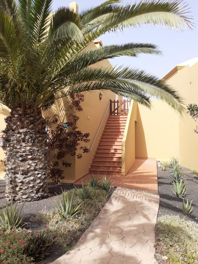 Oasis Waves House Papagayo Lejlighed Corralejo Eksteriør billede