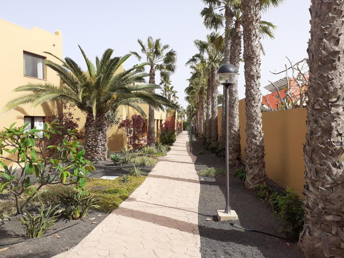 Oasis Waves House Papagayo Lejlighed Corralejo Eksteriør billede