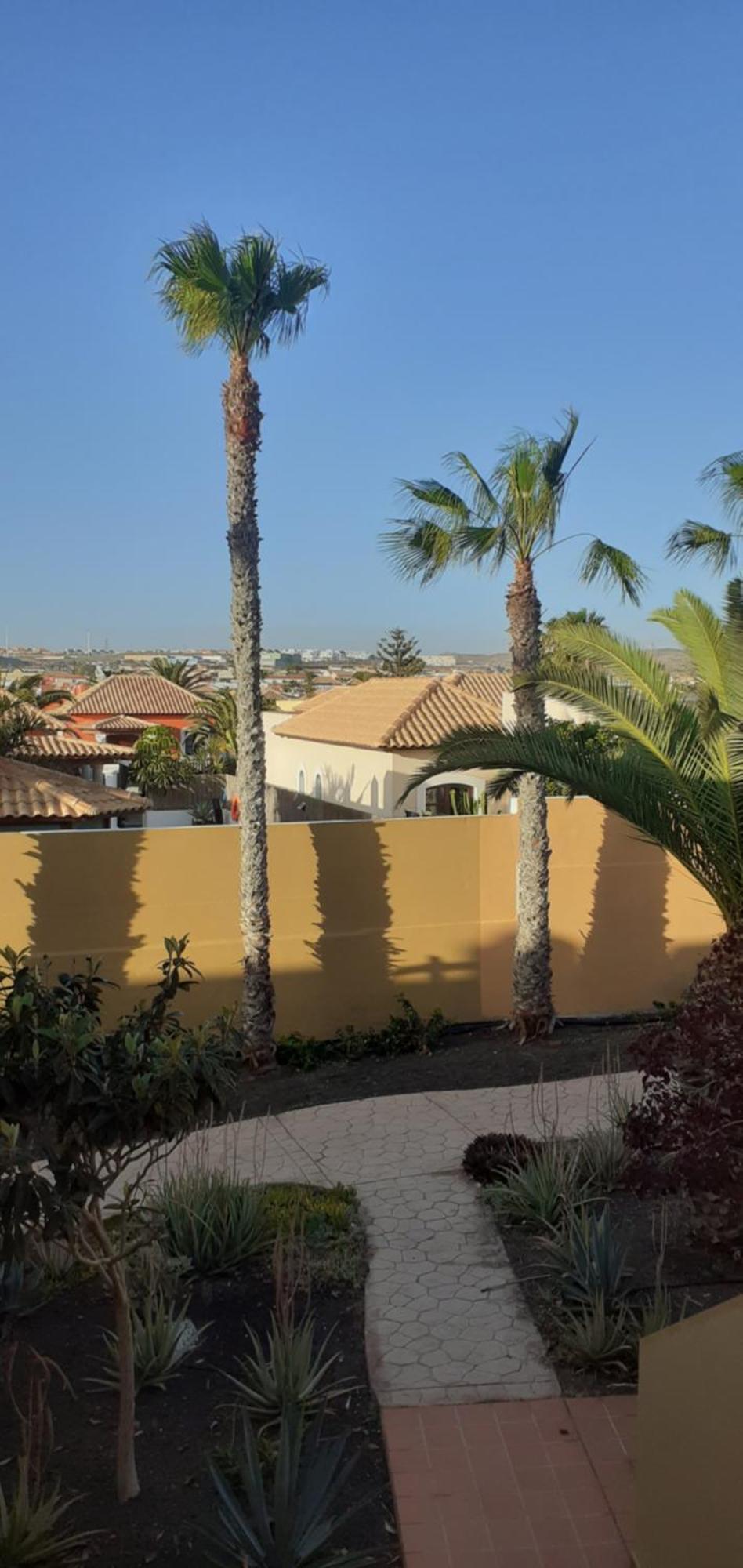 Oasis Waves House Papagayo Lejlighed Corralejo Eksteriør billede