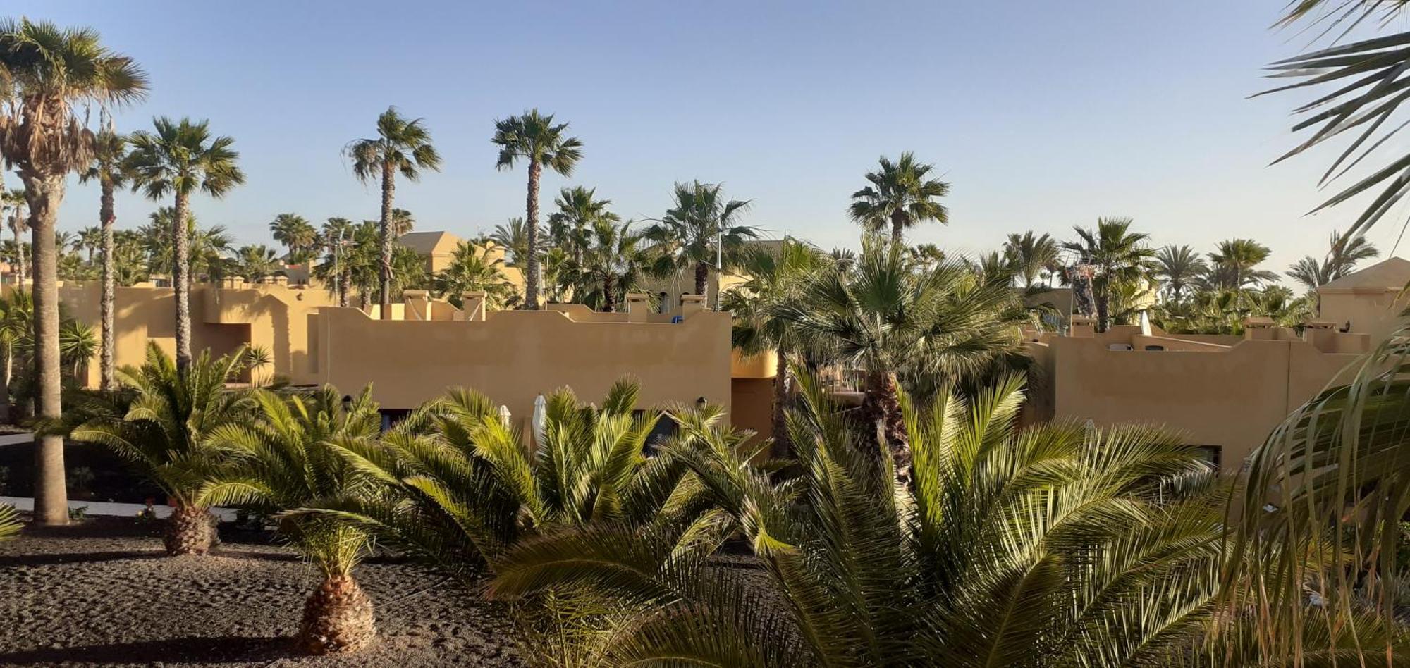 Oasis Waves House Papagayo Lejlighed Corralejo Eksteriør billede