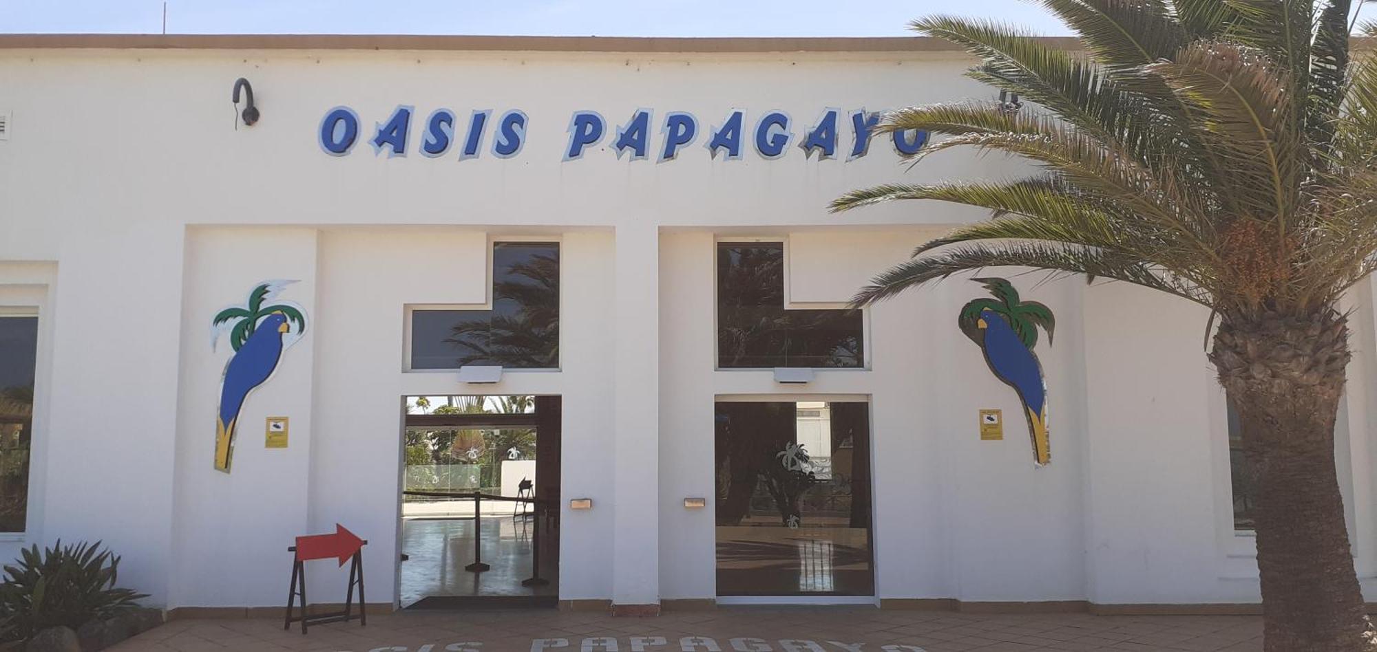 Oasis Waves House Papagayo Lejlighed Corralejo Eksteriør billede